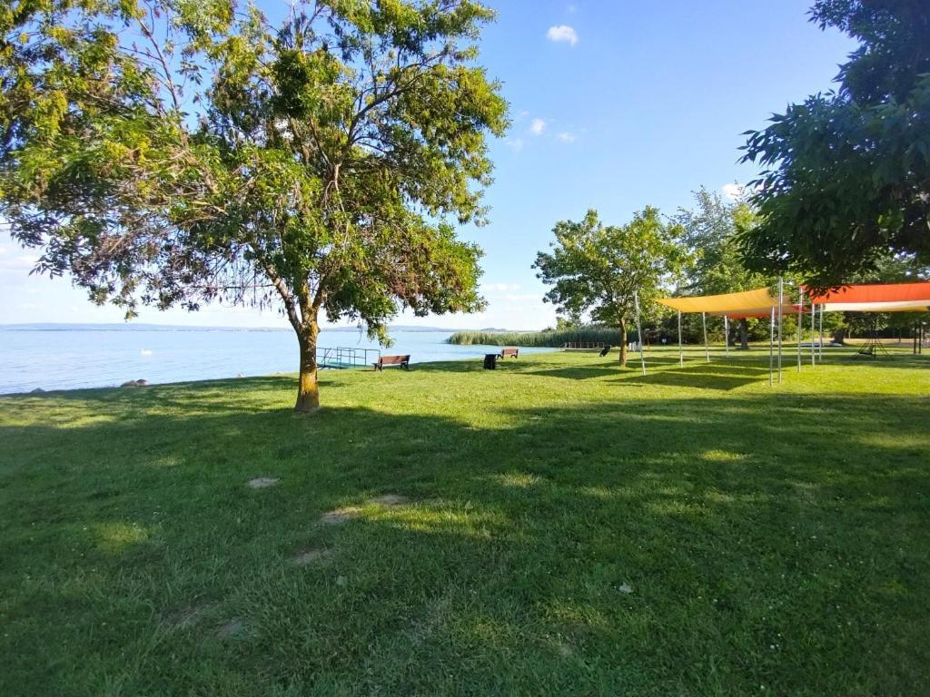 Sir David Balaton Castle Apartmanok Balatonszepezd Bagian luar foto