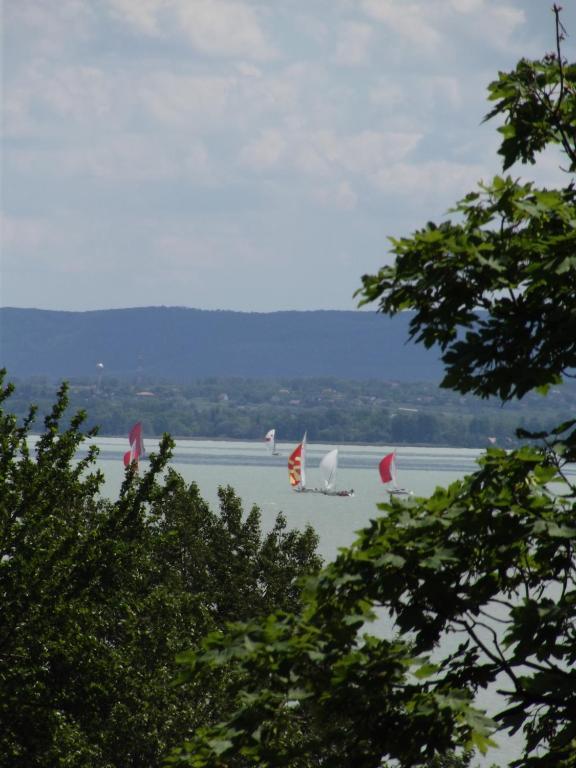 Sir David Balaton Castle Apartmanok Balatonszepezd Bagian luar foto